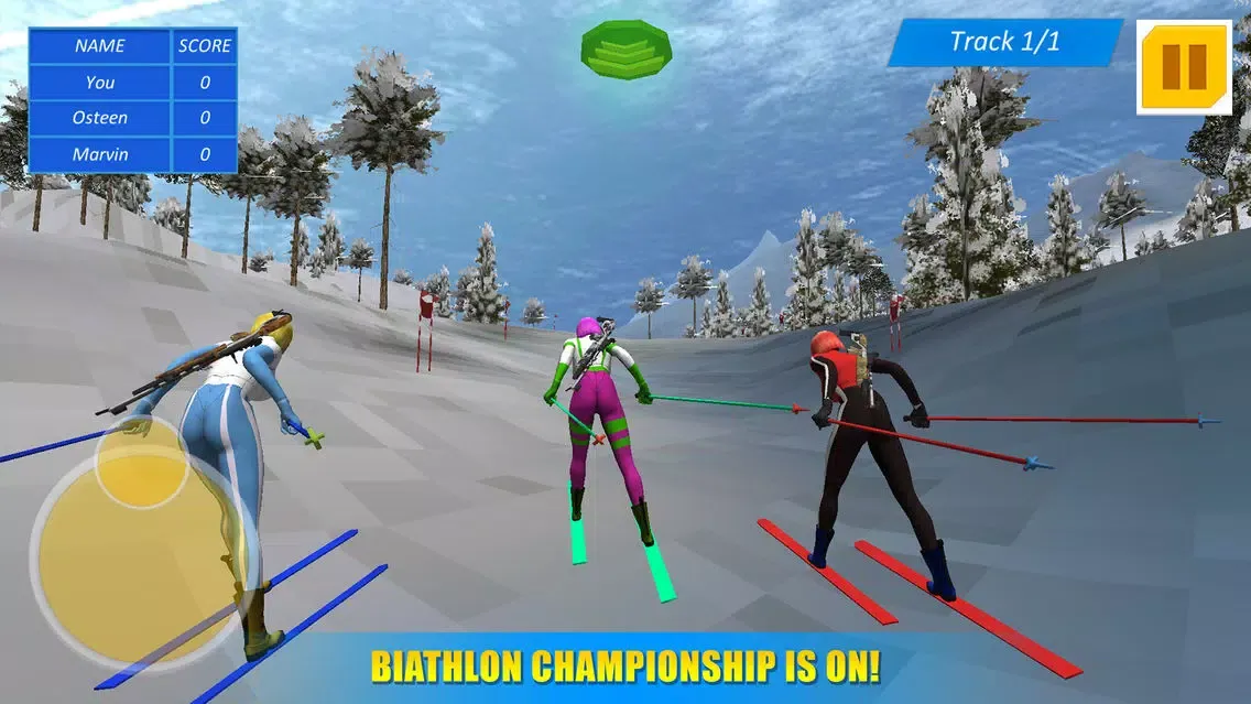 Biathlon Winter Sports 3D স্ক্রিনশট