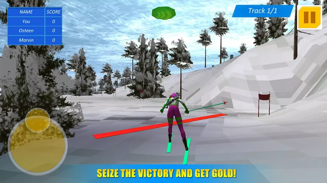 Biathlon Winter Sports 3D স্ক্রিনশট
