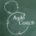 Agile Coach Playbook