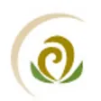 Innovations Medical Innovations Medical