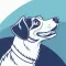 Dog Identifier Dog Scanner AI