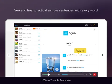 Learn Spanish - Free WordPower iPad 应用截图