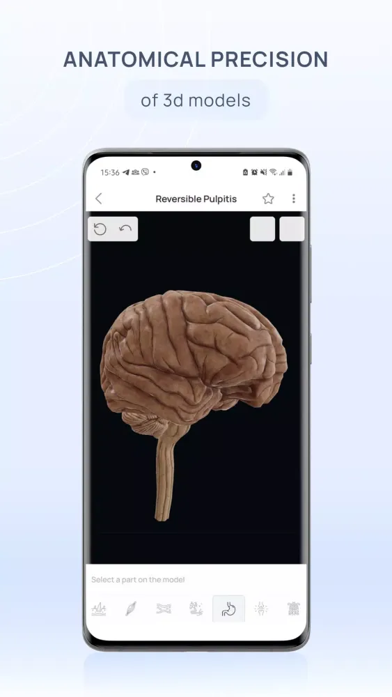 Zrzuty ekranu VOKA 3D Anatomy & Pathology