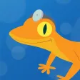 Gecko