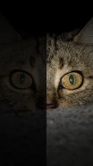 Night Mode Camera应用截图