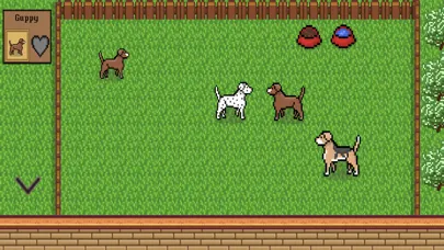 تصاویر Ruff Rescue Shelter