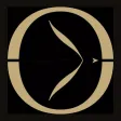 Orion Luxury Services
