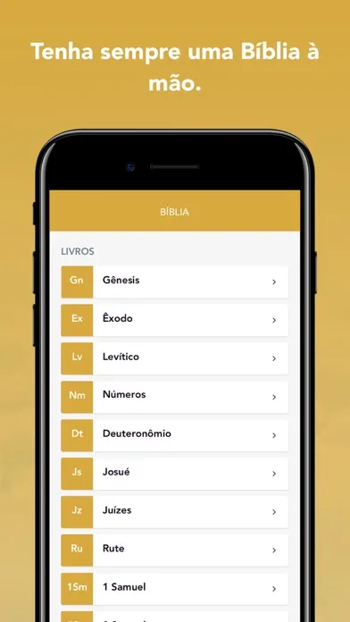 Zrzuty ekranu RENASCER NOVO TEMPO