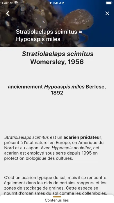 Capturas de pantalla de Diagnoplant biocontrôle