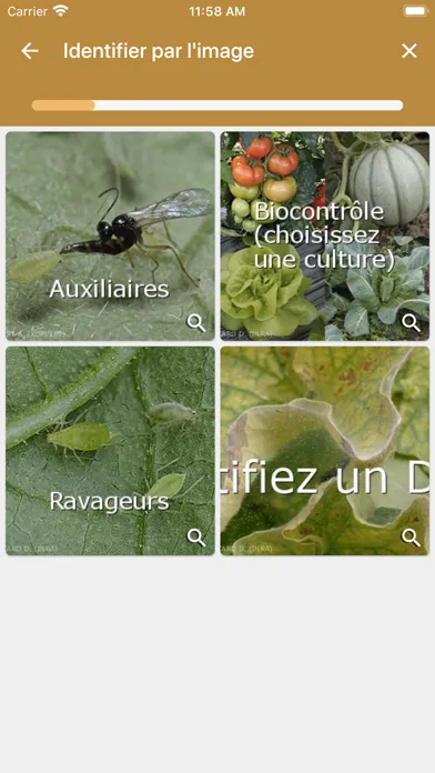 Capturas de pantalla de Diagnoplant biocontrôle