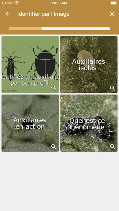 Capturas de pantalla de Diagnoplant biocontrôle