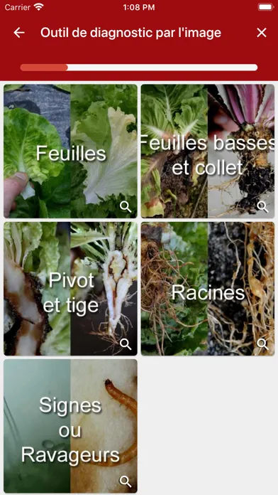 Captures d'écran de Di@gnoPlant Salade