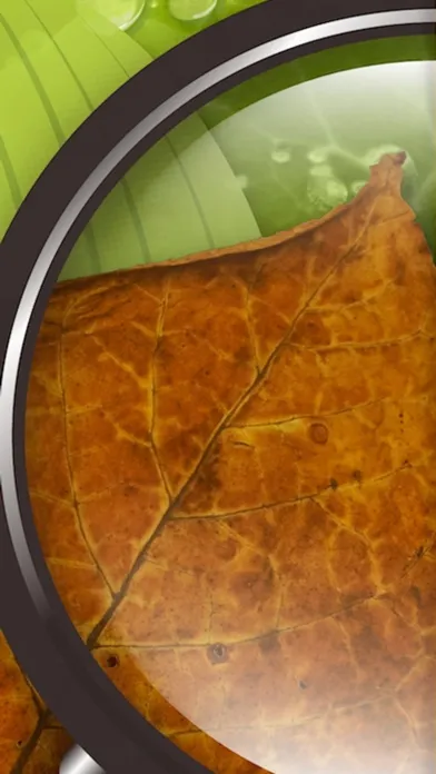 DiagnoPlantTobacco Screenshots