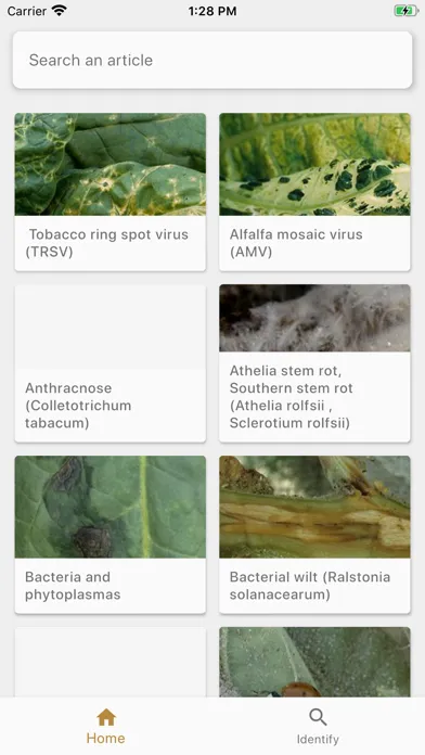 DiagnoPlantTobacco Screenshots