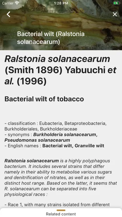 DiagnoPlantTobacco Screenshots