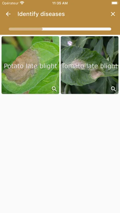 BlightSurveyor应用截图