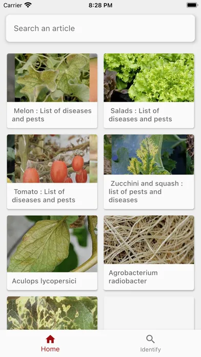 Vegetable應用截圖