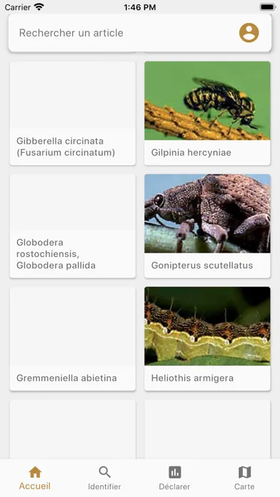 Zrzuty ekranu VigiHorti