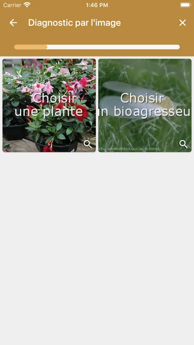 Zrzuty ekranu VigiHorti