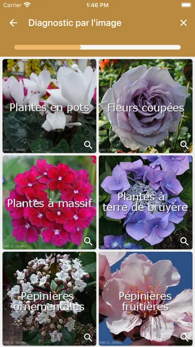 Zrzuty ekranu VigiHorti
