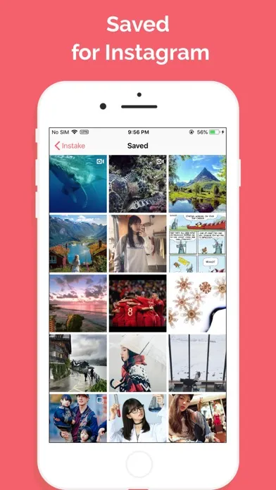 InsTake - for Instagram Screenshots