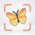 Insects & Bugs Identifier ID