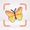 Insects & Bugs Identifier ID