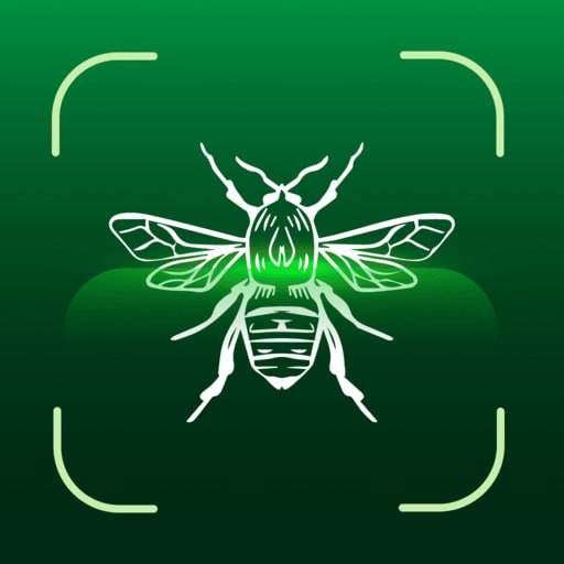 Insect Identifier: Bug Finder