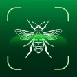 Insect Identifier: Bug Finder