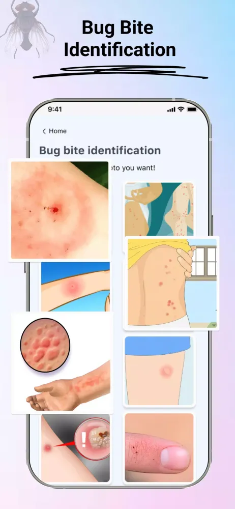 ภาพหน้าจอของ Insect Identifier: Bug Finder