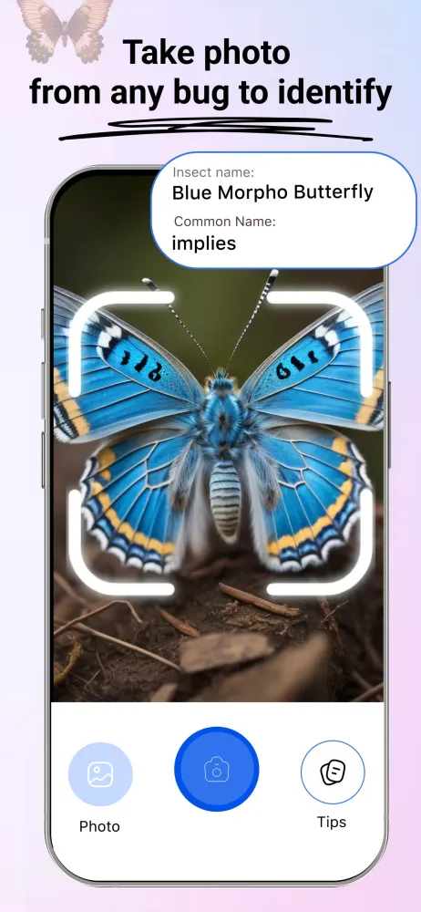 ภาพหน้าจอของ Insect Identifier: Bug Finder