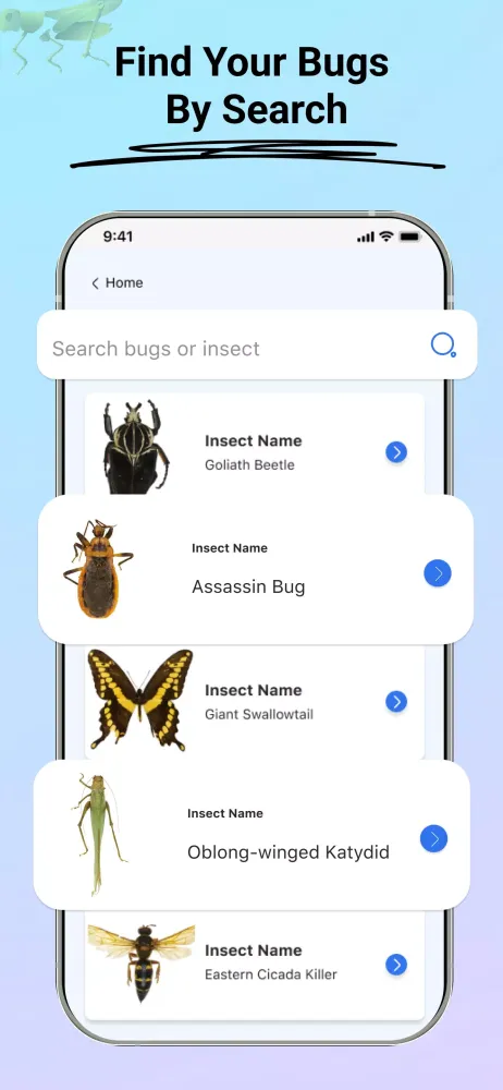 ภาพหน้าจอของ Insect Identifier: Bug Finder