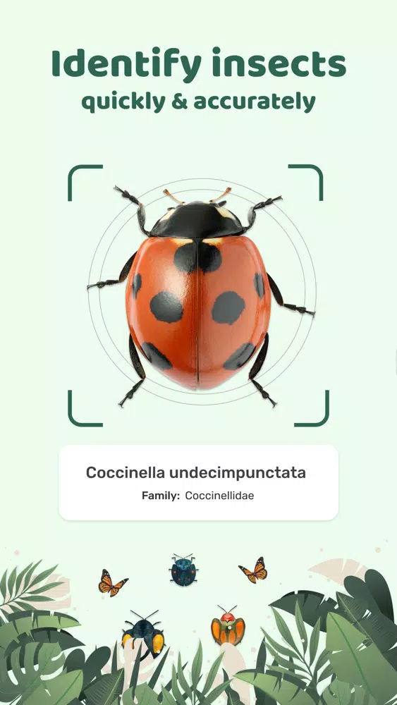 Screenshot di Insect id: Bug identifier