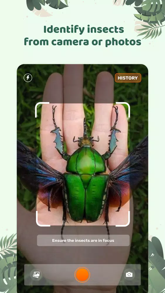 Screenshot di Insect id: Bug identifier