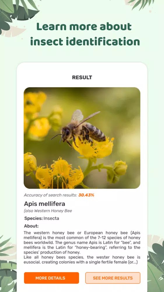 Screenshot di Insect id: Bug identifier