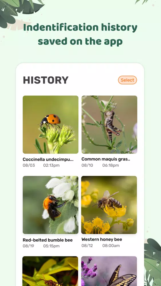 Screenshot di Insect id: Bug identifier
