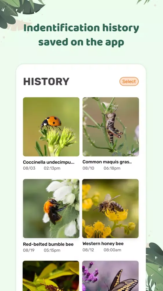 صور Insect id: Bug identifier