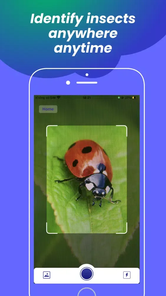Capturas de pantalla de Insect identification - Bug ID