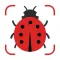 Insect Identifier AI Scanner