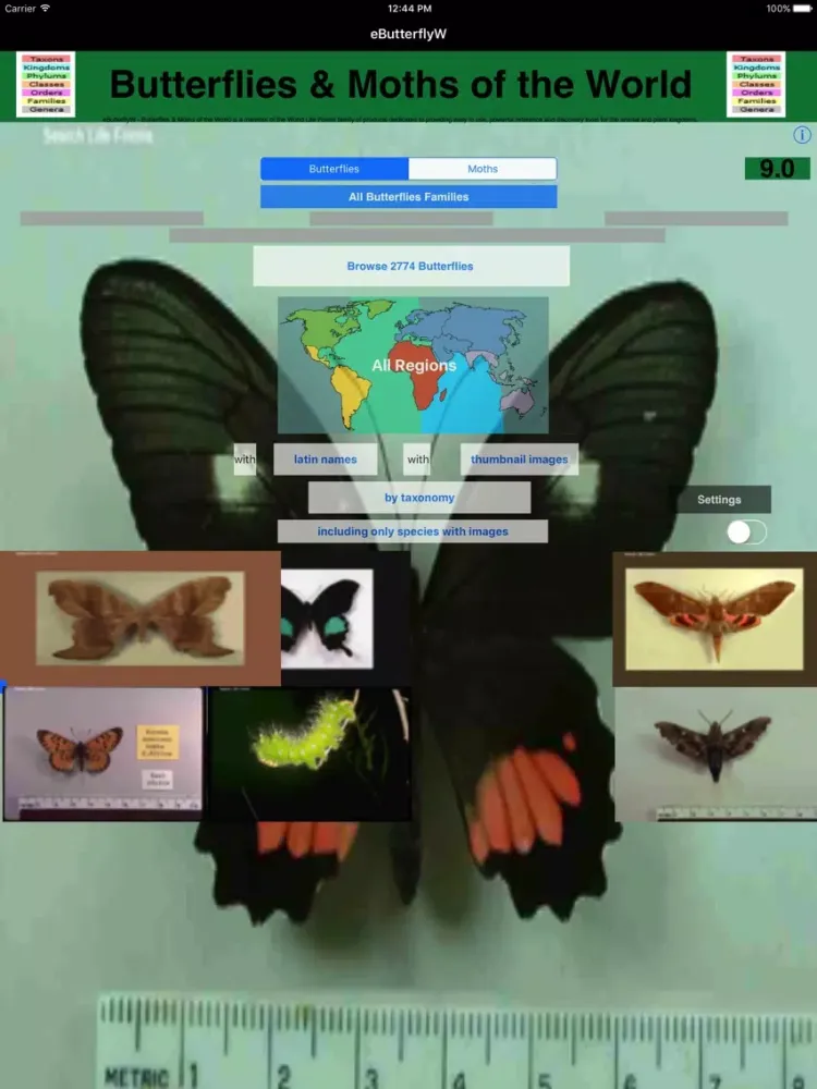 صور Butterflies of the World - A Butterfly App iPad 