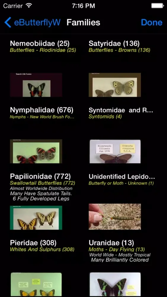 صور Butterflies of the World - A Butterfly App
