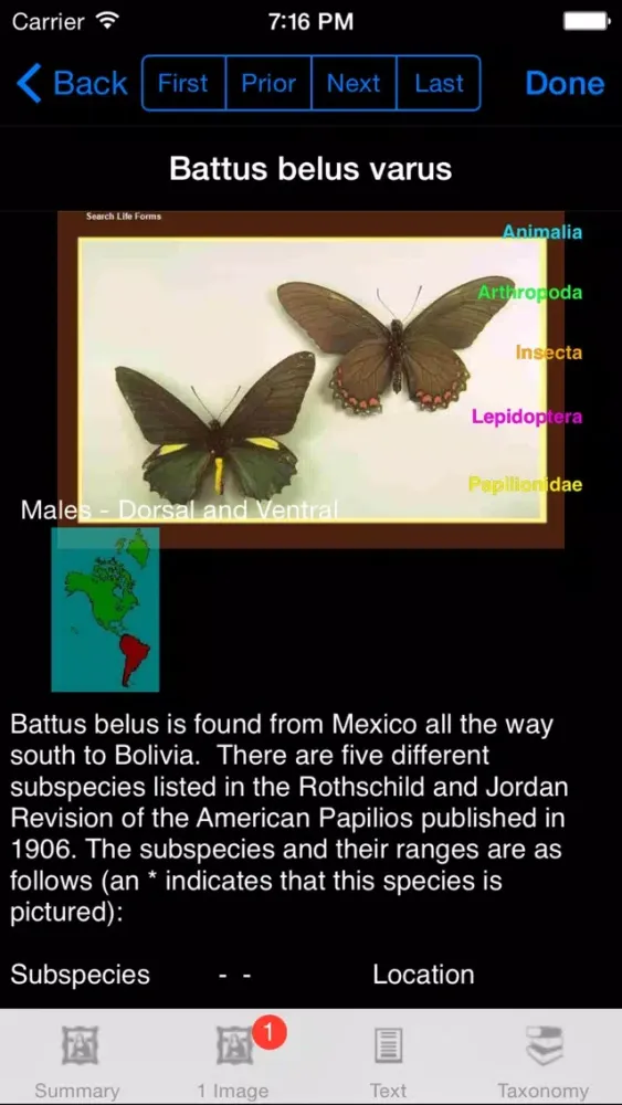 صور Butterflies of the World - A Butterfly App