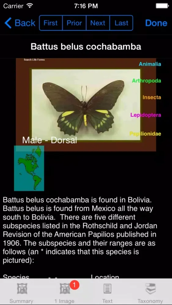 صور Butterflies of the World - A Butterfly App