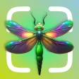 AI Insect Identifier, Bug App