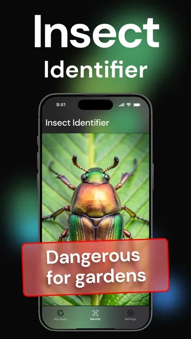 AI Insect Identifier, Bug App應用截圖