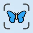 Bug Identifier: Butterfly ID
