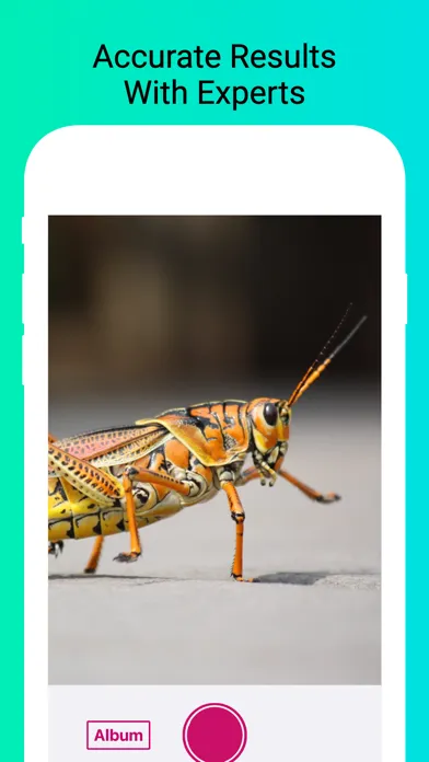 Captures d'écran de Insect Identifier - Scan Bugs