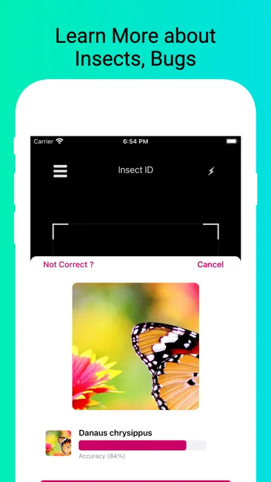 Captures d'écran de Insect Identifier - Scan Bugs
