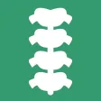INSELhealth - spinal surgery