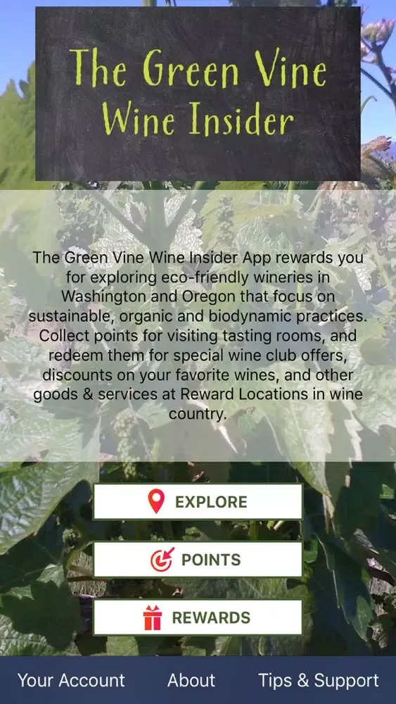 صور Green Vine Wine Insider